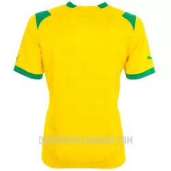 Levné Mužský Fotbalový Dres West Bromwich Albion Venkovní 2022-23