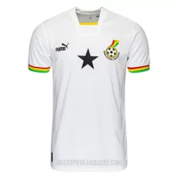 Levné Mužský Fotbalový Dres Ghana Domácí Mistrovství Světa 2022 Levné Mužský Fotbalový Dres Ghana Domácí Mistrovství Světa 2022