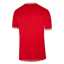 Levné Mužský Fotbalový Dres Polsko Venkovní Mistrovství Světa 2022