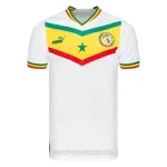 Levné Mužský Fotbalový Dres Senegal Domácí Mistrovství Světa 2022