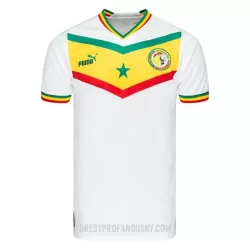 Levné Mužský Fotbalový Dres Senegal Domácí Mistrovství Světa 2022 Levné Mužský Fotbalový Dres Senegal Domácí Mistrovství Světa 2022