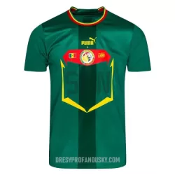 Levné Mužský Fotbalový Dres Senegal Venkovní Mistrovství Světa 2022 Levné Mužský Fotbalový Dres Senegal Venkovní Mistrovství Světa 2022