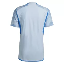 Levné Mužský Fotbalový Dres Španělsko Venkovní Mistrovství Světa 2022