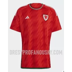 Levné Mužský Fotbalový Dres Wales Domácí Mistrovství Světa 2022 Levné Mužský Fotbalový Dres Wales Domácí Mistrovství Světa 2022