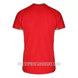 Levné Mužský Fotbalový Dres Írán Venkovní Mistrovství Světa 2022