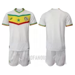 Levné Dětský Fotbalový Dres Senegal Domácí Mistrovství Světa 2022 Levné Dětský Fotbalový Dres Senegal Domácí Mistrovství Světa 2022