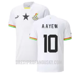 Levné Mužský Fotbalový Dres Ghana Andre Ayew 10 Domácí Mistrovství Světa 2022 Levné Mužský Fotbalový Dres Ghana Andre Ayew 10 Domácí Mistrovství Světa 2022
