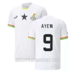 Levné Mužský Fotbalový Dres Ghana Ayew 9 Domácí Jordan Mistrovství Světa 2022