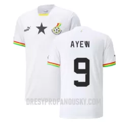 Levné Mužský Fotbalový Dres Ghana Ayew 9 Domácí Jordan Mistrovství Světa 2022 Levné Mužský Fotbalový Dres Ghana Ayew 9 Domácí Jordan Mistrovství Světa 2022