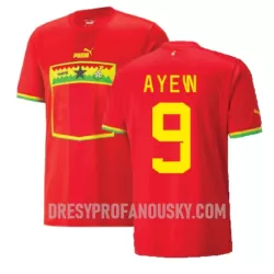 Levné Mužský Fotbalový Dres Ghana Ayew 9 Venkovní Jordan Mistrovství Světa 2022 Levné Mužský Fotbalový Dres Ghana Ayew 9 Venkovní Jordan Mistrovství Světa 2022