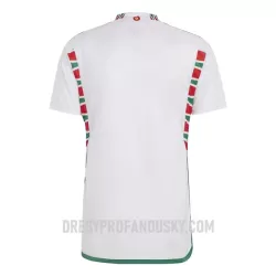 Levné Mužský Fotbalový Dres Wales Venkovní Mistrovství Světa 2022