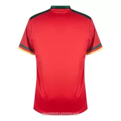 Levné Mužský Fotbalový Dres Kamerun Alternativní Mistrovství Světa 2022