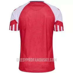 Levné Mužský Fotbalový Dres Dánsko Domácí 2023