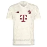 Levné Mužský Fotbalový Dres FC Bayern Mnichov Champions League Alternativní 2023-24