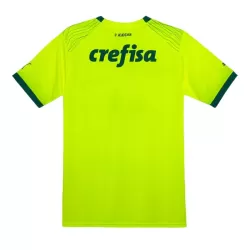 Levné Mužský Fotbalový Dres Palmeiras Alternativní 2023-24