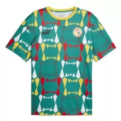 Levné Mužský Fotbalový Dres Senegal Domácí 2023-24 Levné Mužský Fotbalový Dres Senegal Domácí 2023-24