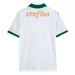 Levné Mužský Fotbalový Dres Palmeiras Venkovní 2024-25