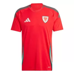 Levné Mužský Fotbalový Dres Wales Domácí 2024 Levné Mužský Fotbalový Dres Wales Domácí 2024