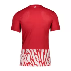 Levné Mužský Fotbalový Dres SC Freiburg Domácí 2023-24