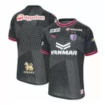 Levné Mužský Fotbalový Dres Cerezo Osaka Alternativní 2024-25