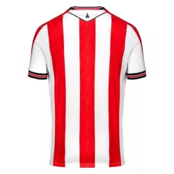 Levné Mužský Fotbalový Dres Stoke City Domácí 2024-25