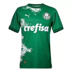 Levné Mužský Fotbalový Dres Palmeiras 2024 Zelená - Speciální