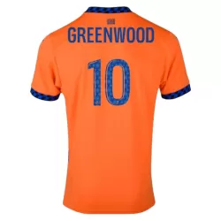 Levné Mužský Fotbalový Dres Olympique de Marseille Greenwood 10 Alternativní 2024-25