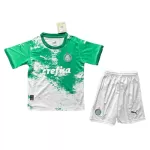 Levné Dětský Fotbalový Dres Palmeiras 2024 Bílá - Speciální