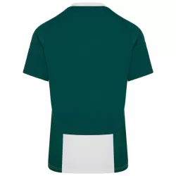 Levné Mužský Fotbalový Dres Panathinaikos FC Domácí 2024-25