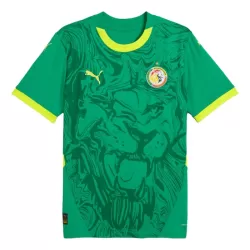 Levné Mužský Fotbalový Dres Senegal Venkovní 2024-25 Levné Mužský Fotbalový Dres Senegal Venkovní 2024-25