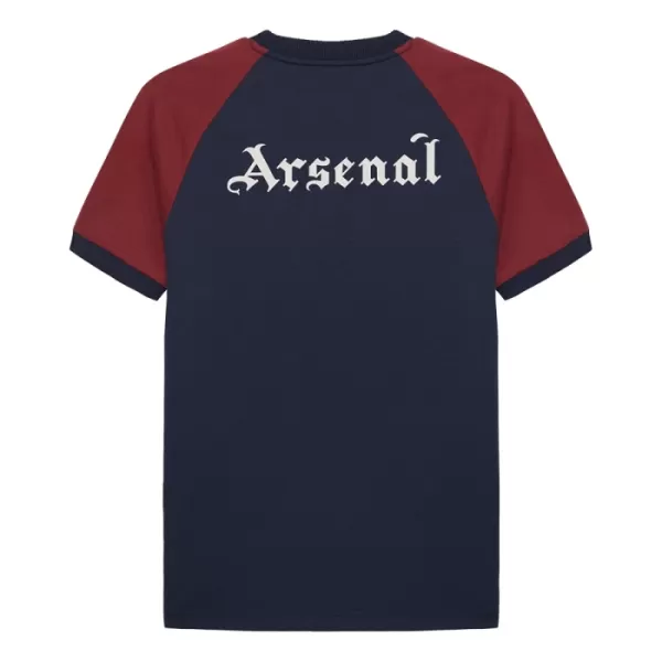 Levné Mužský Fotbalový Dres Arsenal 2024-25 - Speciální