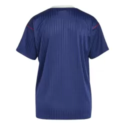 Levné Mužský Fotbalový Dres Arsenal Adidas Terrace Icon 2024-25