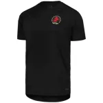 Levné Mužský Fotbalový Dres Aston Villa Výročí 2024-25