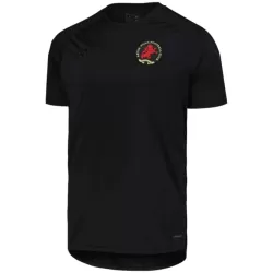 Levné Mužský Fotbalový Dres Aston Villa Výročí 2024-25