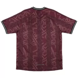 Levné Mužský Fotbalový Dres Dánsko 2024-25 - Speciální