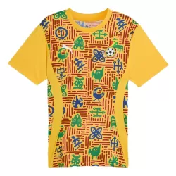Levné Mužský Fotbalový Dres Ghana Pre-Match 2024-25 Levné Mužský Fotbalový Dres Ghana Pre-Match 2024-25