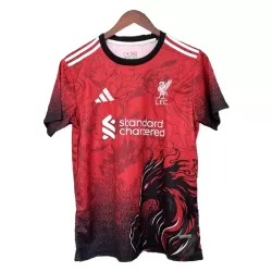 Levné Mužský Fotbalový Dres Liverpool 2024-25 Červená - Speciální Levné Mužský Fotbalový Dres Liverpool 2024-25 Červená - Speciální