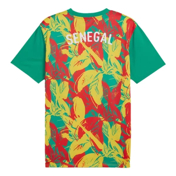 Levné Mužský Fotbalový Dres Senegal Pre-Match 2024-25