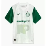 Levné Mužský Fotbalový Dres Palmeiras Venkovní 2025-26