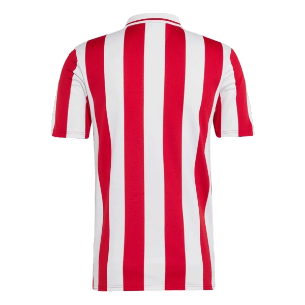 Levné Mužský Fotbalový Dres Olympiakos 100th Výročí 2024-25