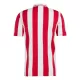 Levné Mužský Fotbalový Dres Olympiakos 100th Výročí 2024-25