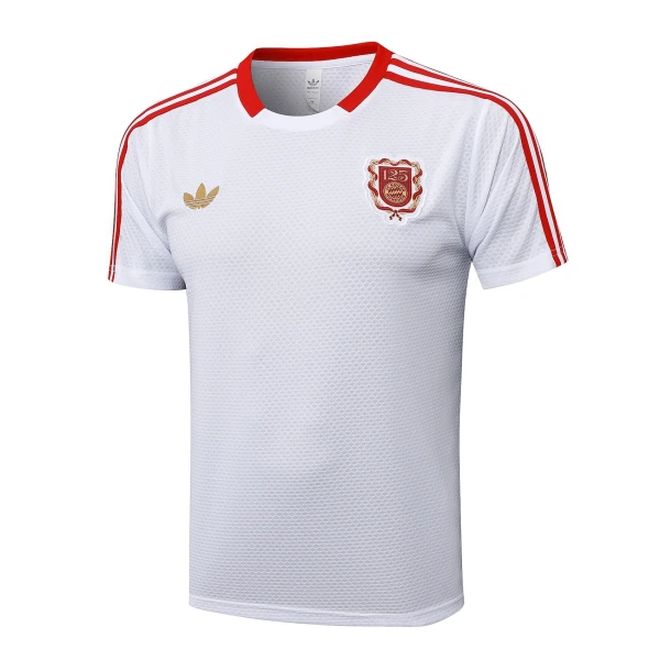 Levné Mužský Fotbalový Dres FC Bayern Mnichov Výročí 2024-25 Levné Mužský Fotbalový Dres FC Bayern Mnichov Výročí 2024-25