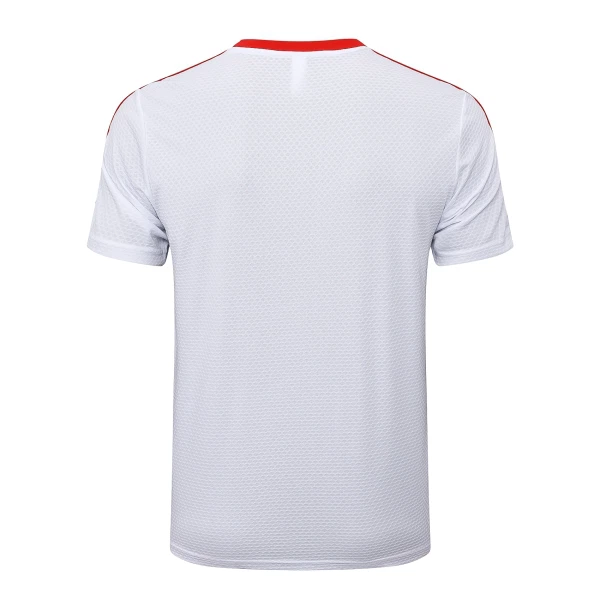 Levné Mužský Fotbalový Dres FC Bayern Mnichov Výročí 2024-25