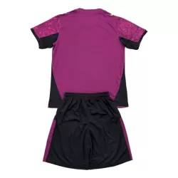 Levné Dětský Fotbalový Dres Galatasaray SK Alternativní 2025-26