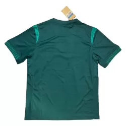 Levné Mužský Fotbalový Dres Nigérie Domácí 2025-26