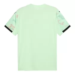 Levné Mužský Fotbalový Dres Portugalsko Venkovní 2025