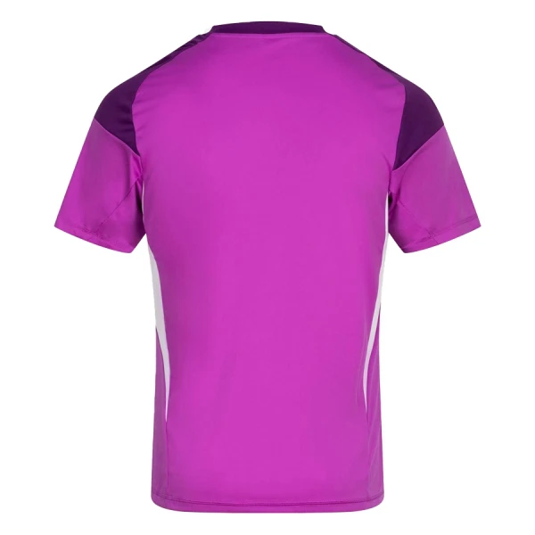 Levné Mužský Fotbalový Dres Aberdeen Purple Version Brankářské 2025-26