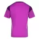 Levné Mužský Fotbalový Dres Aberdeen Purple Version Brankářské 2025-26