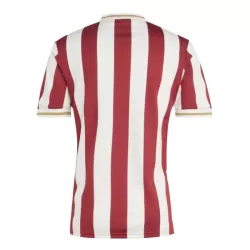 Levné Mužský Fotbalový Dres FC Nurnberg Výročí 2024-25