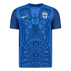 Levné Mužský Fotbalový Dres Finsko Venkovní 2025 Levné Mužský Fotbalový Dres Finsko Venkovní 2025